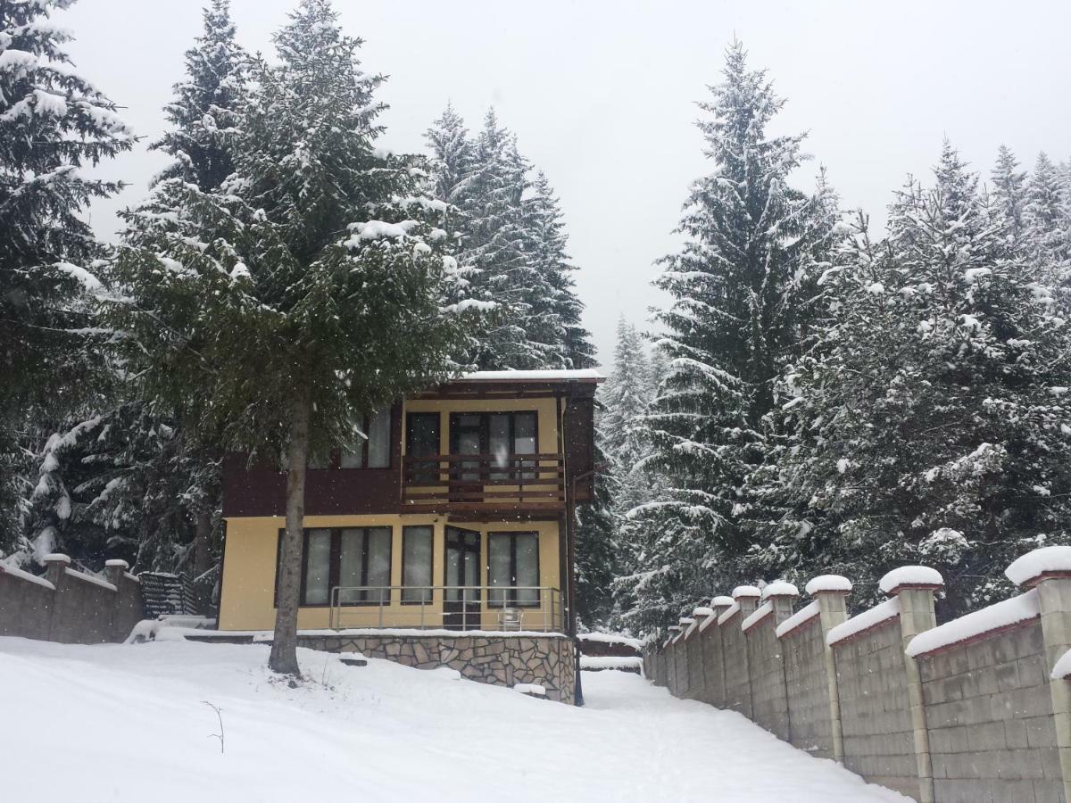 Вила Мерджан Sarnitsa Exterior photo